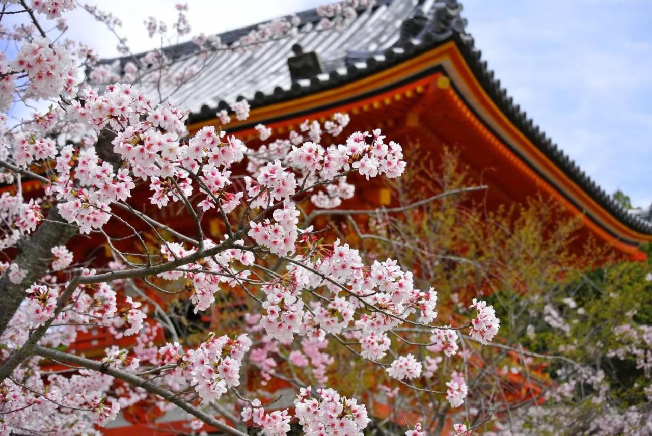 Stay Sakura Kyoto Gion North Exterior photo